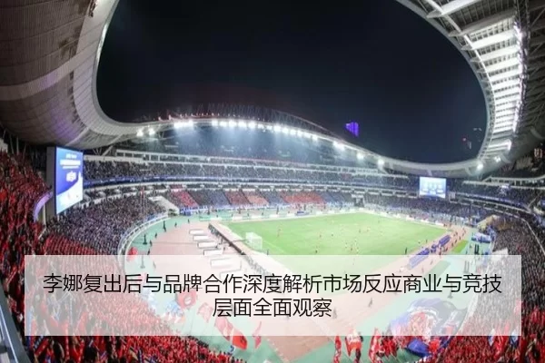李娜复出后与品牌合作深度解析市场反应商业与竞技层面全面观察